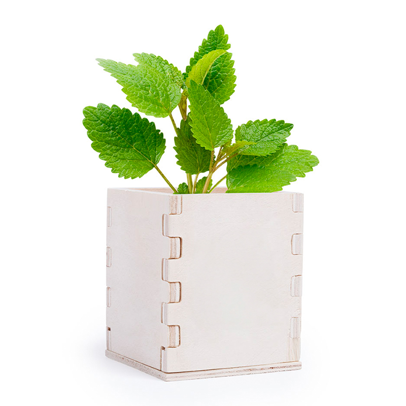 Pot en bois avec menthe - image 6